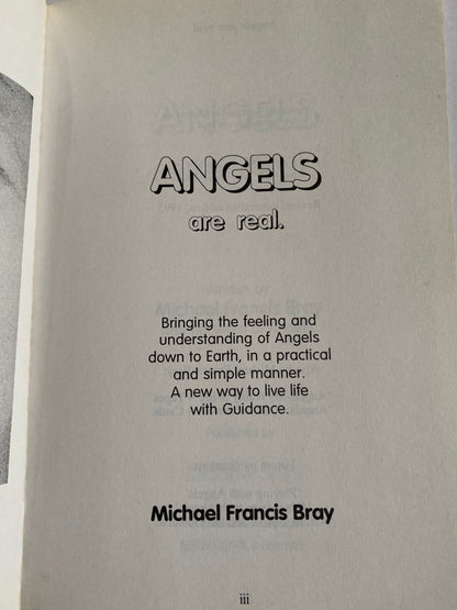 Angels Are Real by Michael F. Bray