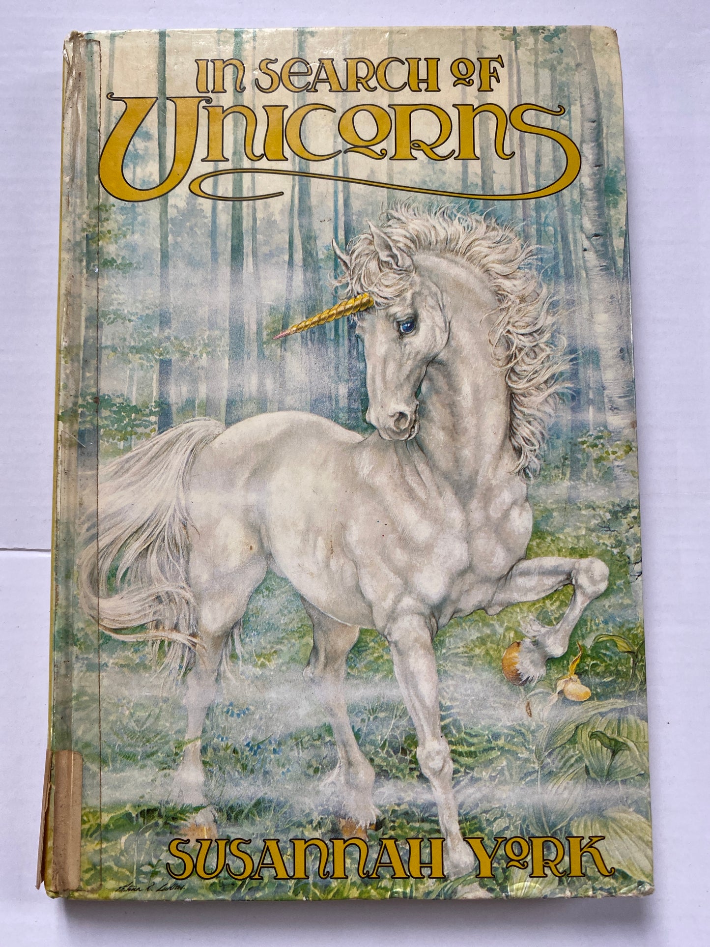 In Search of Unicorns by Susannah York