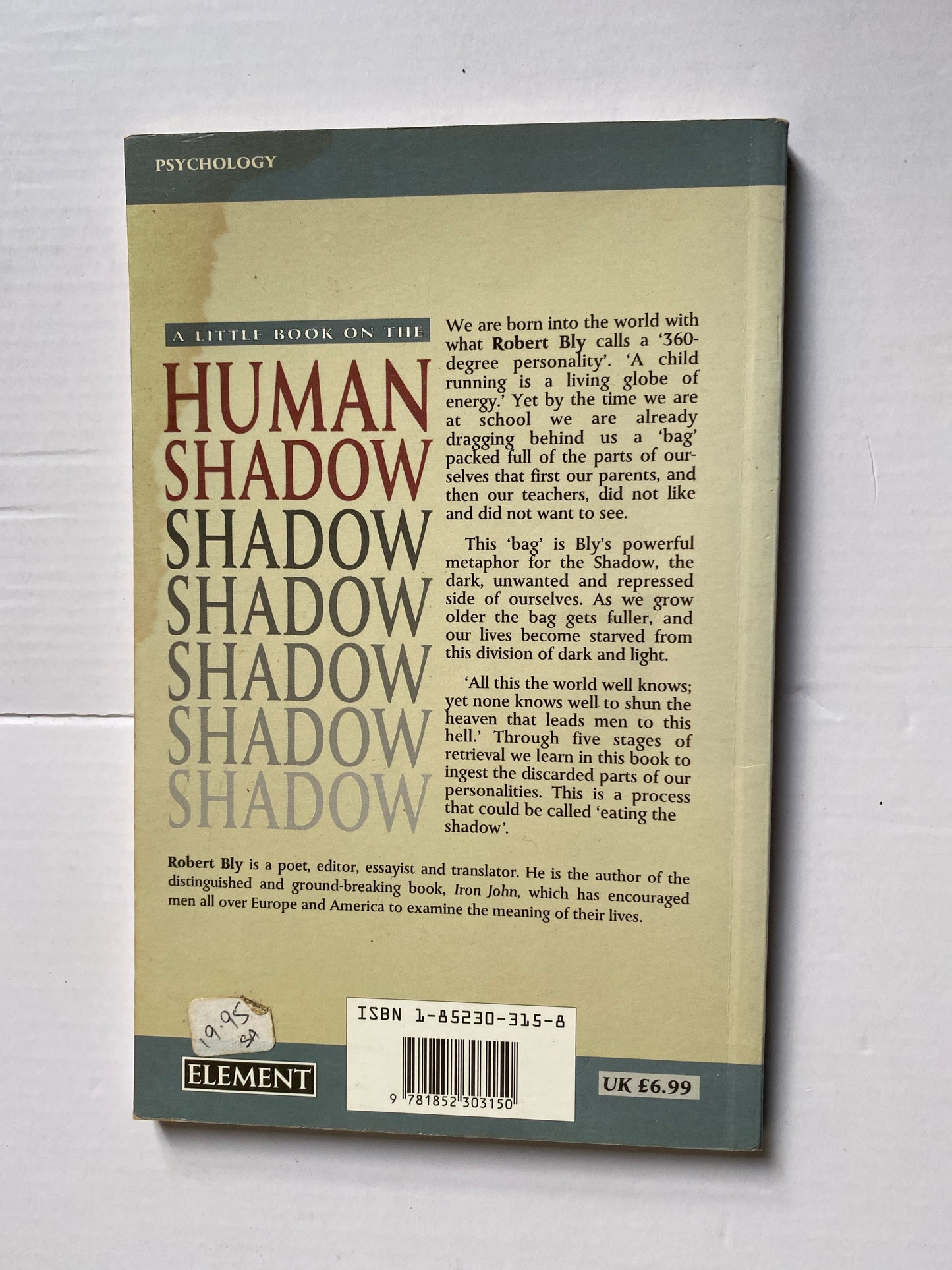 A Little Book on the Human Shadow (Little Books) by Robert Bly