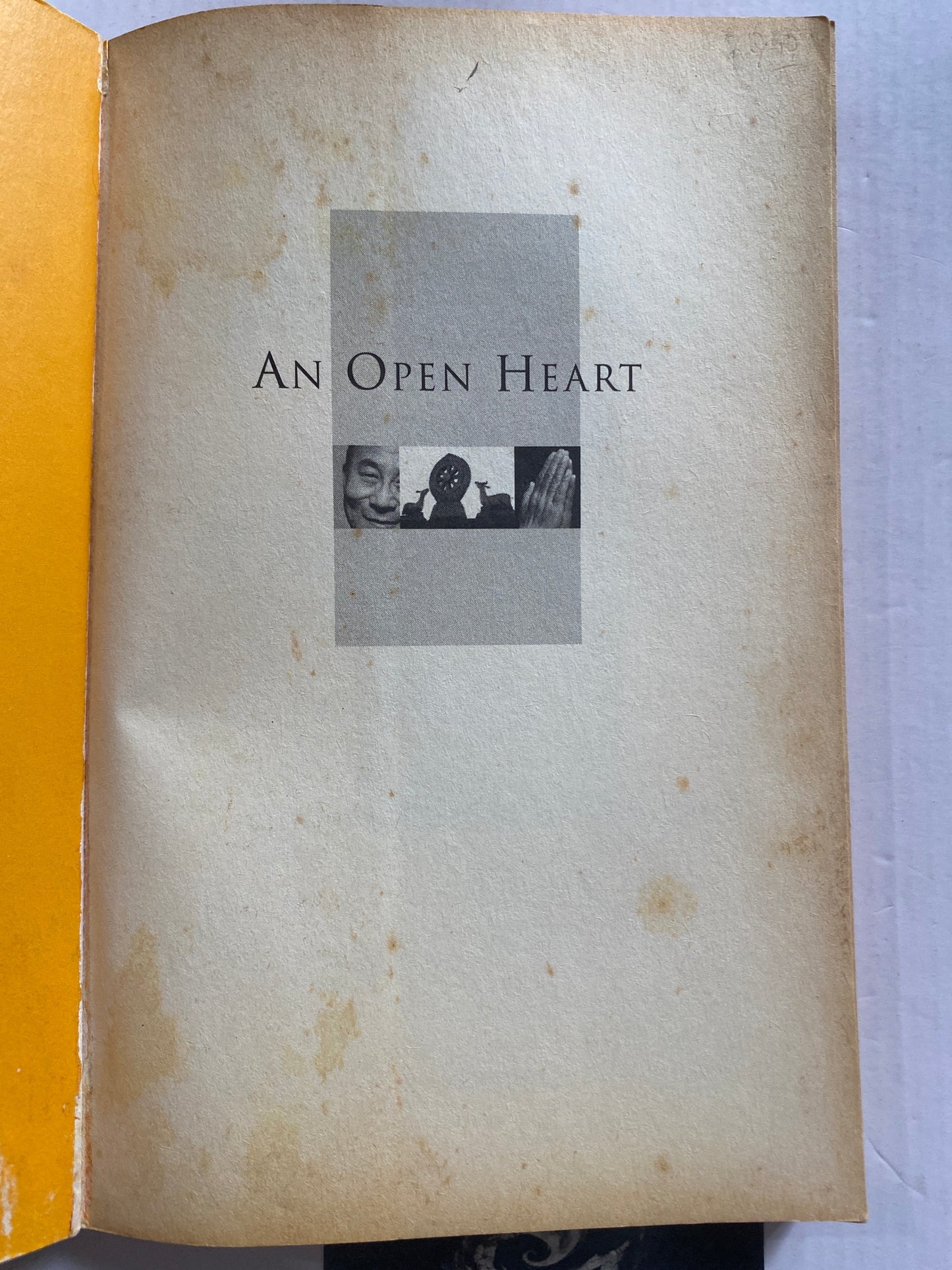 An Open Heart by The Dalai Lama