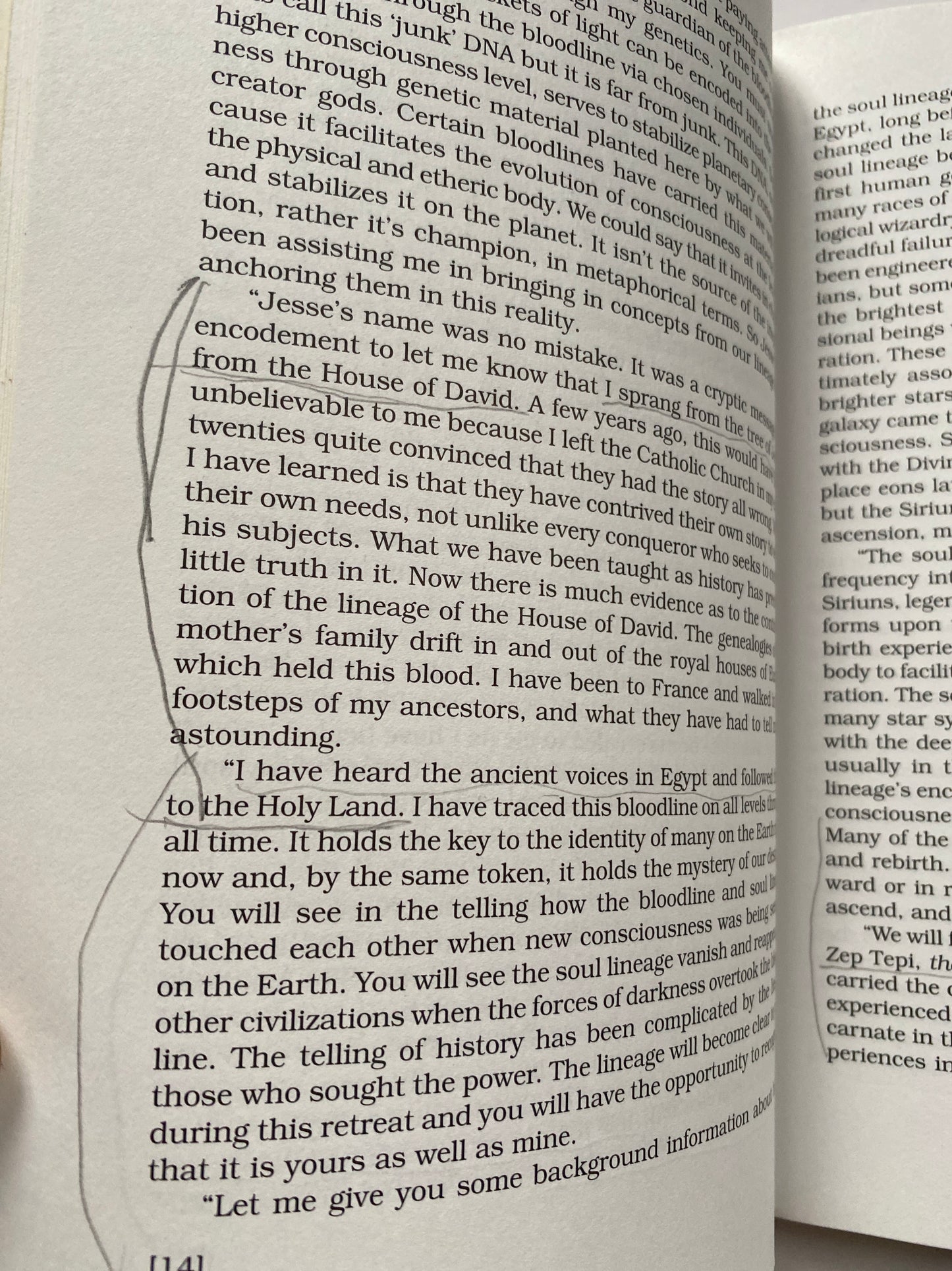 The Lineage of the Codes of Light by Jessie E. Ayani
