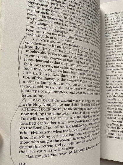 The Lineage of the Codes of Light by Jessie E. Ayani