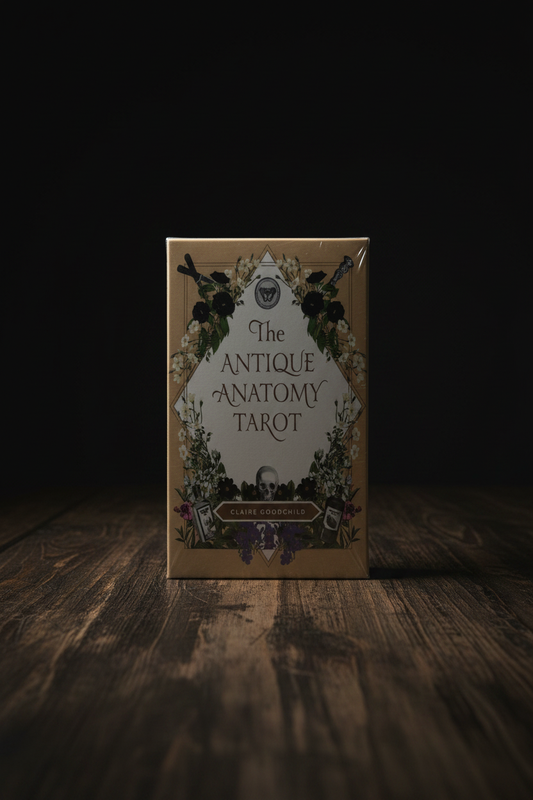 Antique Anatomy Tarot - Table Mockup