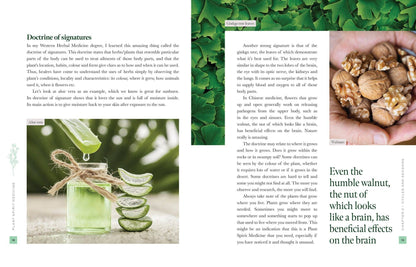Plant Spirit Medicine: Reconnect with Nature & Heal from Within